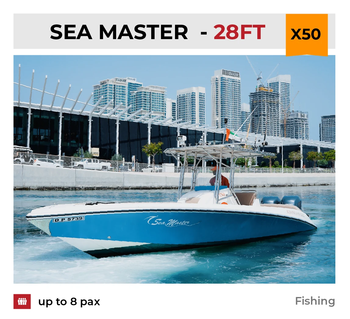 Sea Master 28ft fishing boat