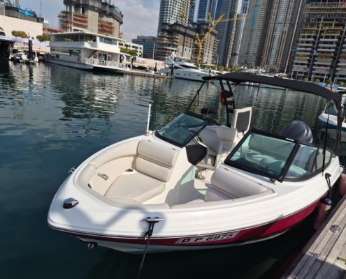 WhatsApp Image 2026-01-27 at 2.18.20 PM