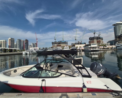 WhatsApp Image 2026-01-27 at 2.19.54 PM