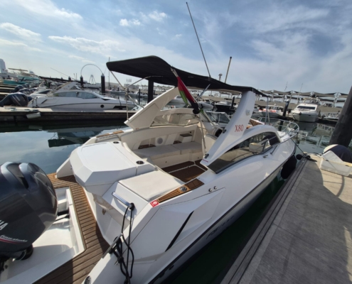 WhatsApp Image 2026-01-27 at 2.27.26 PM (1)