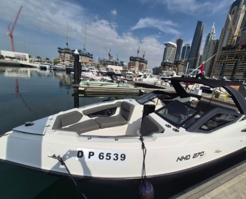 WhatsApp Image 2026-01-27 at 2.28.28 PM