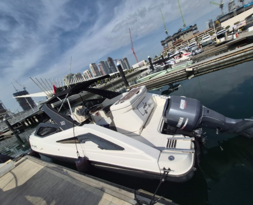 WhatsApp Image 2026-01-27 at 2.28.48 PM