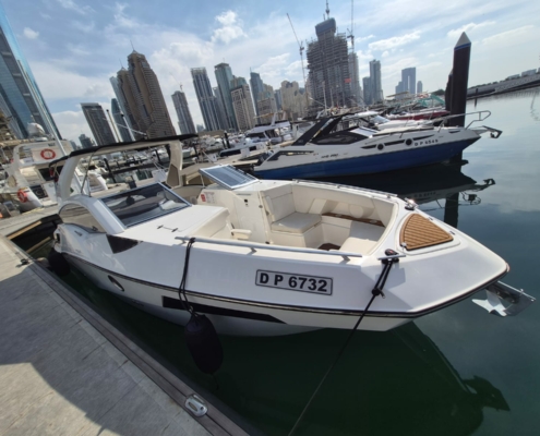 WhatsApp Image 2026-01-27 at 2.36.34 PM