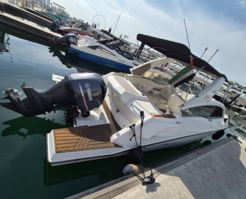 WhatsApp Image 2026-01-27 at 2.36.35 PM